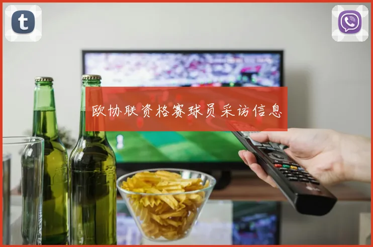 欧协联资格赛球员采访信息