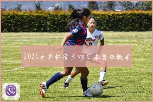 2026世界杯荷兰vs日本晋级概率