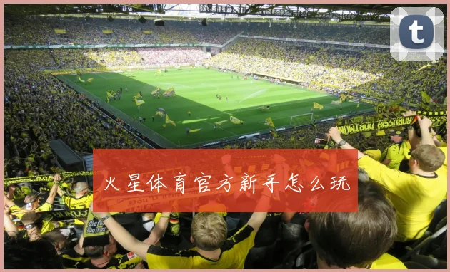 火星体育官方新手怎么玩