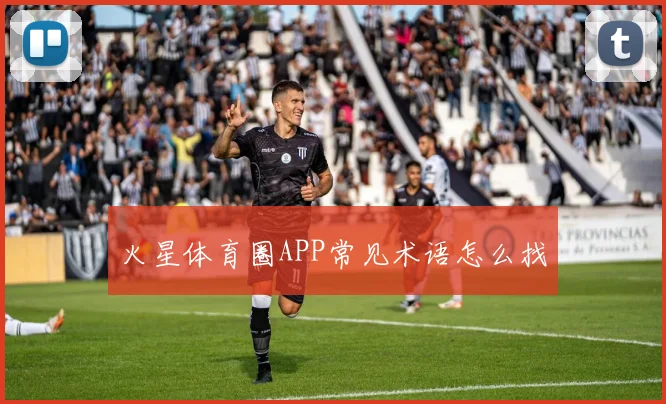 火星体育圈APP常见术语怎么找